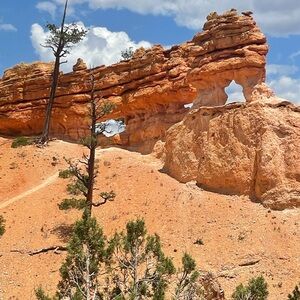 Meet your Posher, Paige